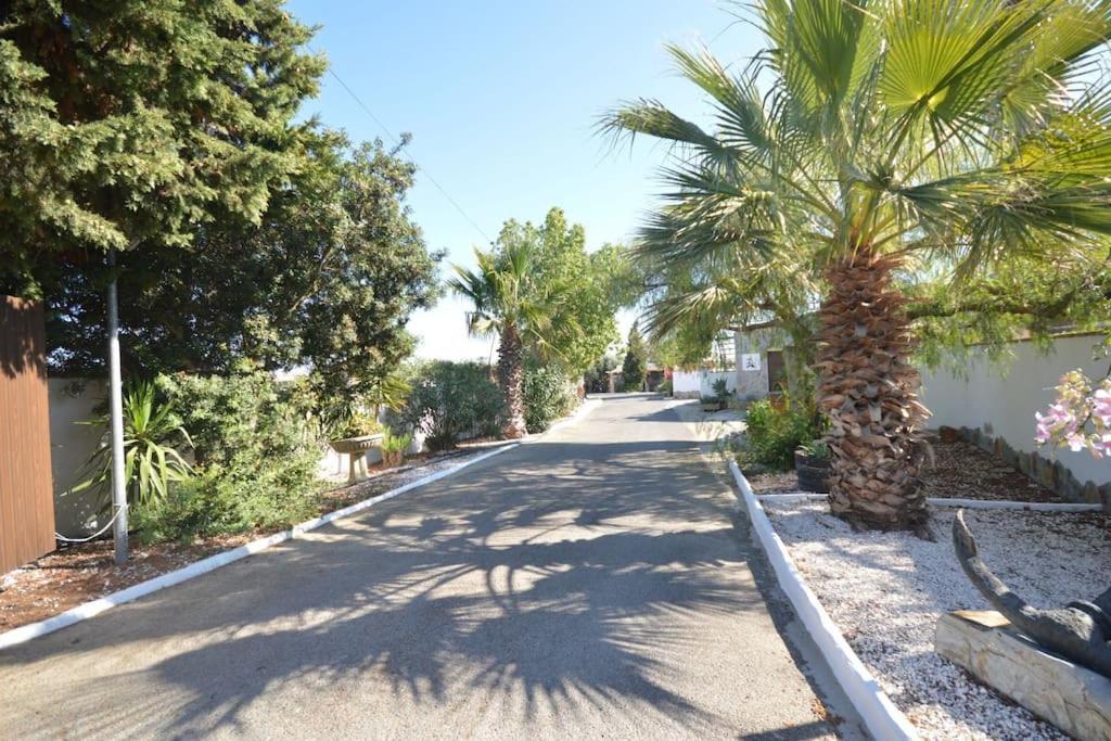 Casas Paqui Y Pablo Con Piscina Compartida En Conil Villa Conil De La Frontera Buitenkant foto